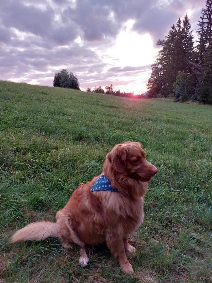 Penzion Na Výsluní Strasin Exteriér fotografie