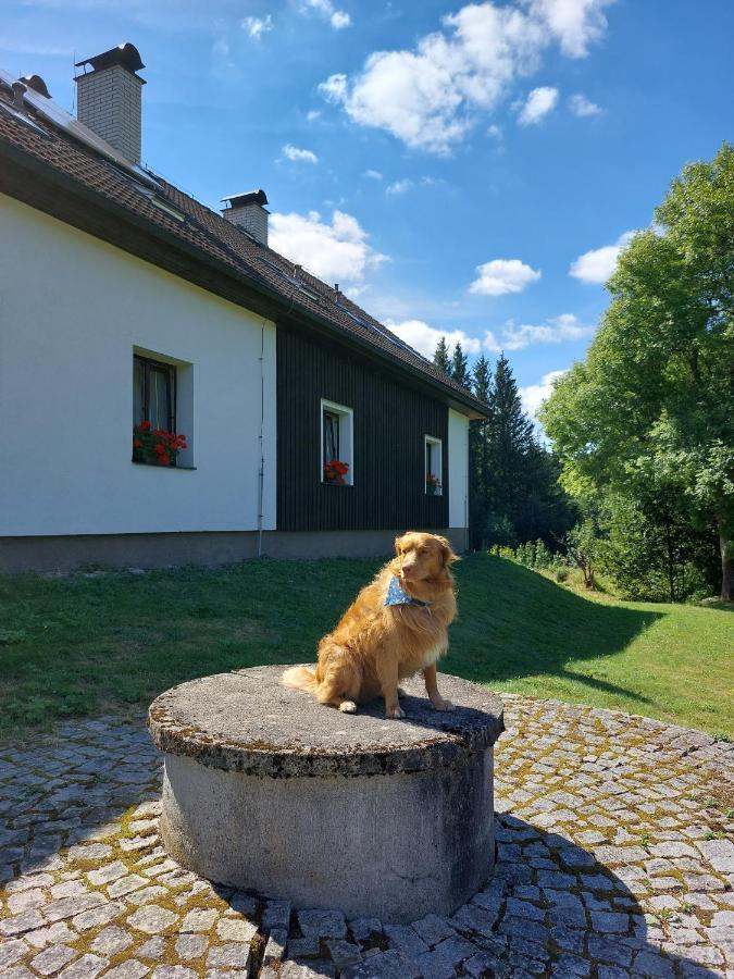 Penzion Na Výsluní Strasin Exteriér fotografie